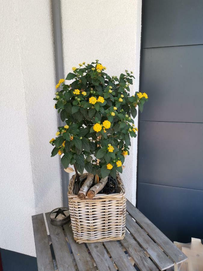 Ferienwohnung Nahe Marina Runthe Bergkamen Kültér fotó